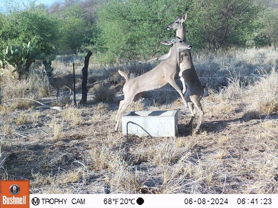 PHOTO-2024-06-10-15-00-55 3.jpg